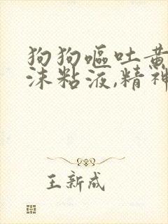 狗狗呕吐黄水泡沫粘液,精神食欲却很好