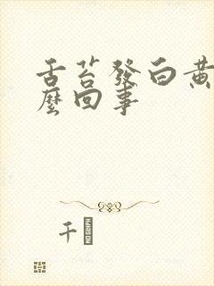 舌苔发白黄是怎么回事