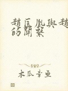 赵匡胤与赵德芳的关系封面