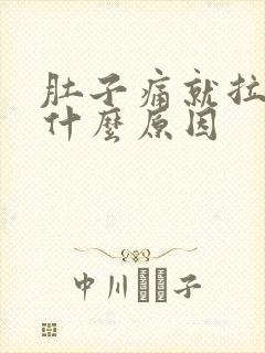 肚子痛就拉大便什么原因