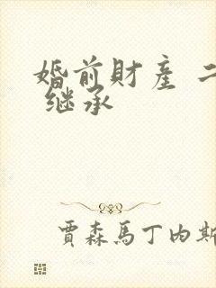 婚前财产 二婚 继承