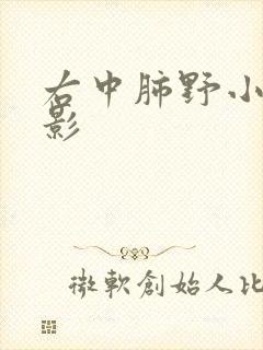 右中肺野小结节影