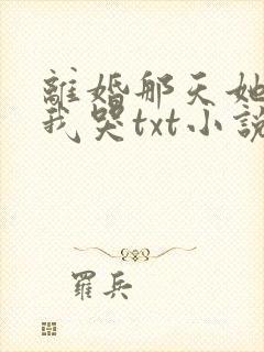 离婚那天她抱着我哭txt小说免费阅读