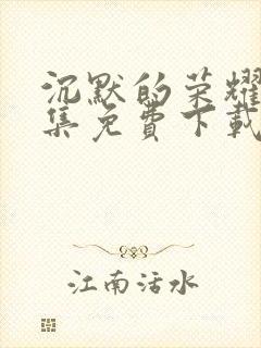 沉默的荣耀40集免费下载