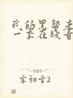 我的黑帮老大第一季在线看免费高清