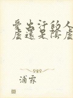 爱出汗的人是阳虚还是阴虚