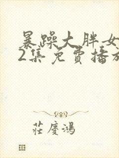 暴躁大胖女人42集免费播放电视剧