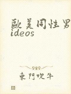 欧美同性男男videos