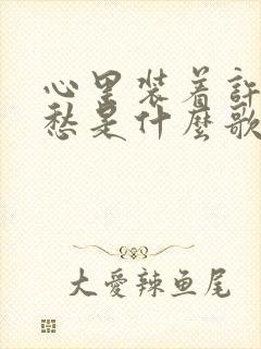 心里装着许多的愁是什么歌