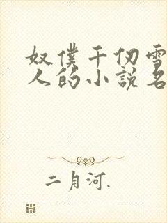 奴仆千仞雪叫主人的小说名字