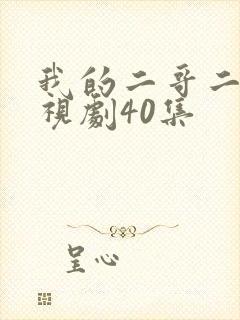 我的二哥二嫂电视剧40集