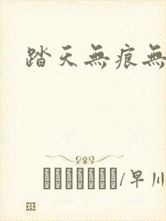 踏天无痕无删减封面