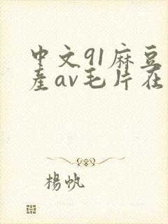 中文91麻豆国产av毛片在线