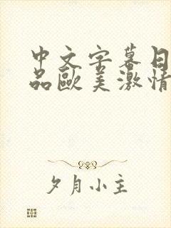 中文字幕日韩精品欧美激情乱封面