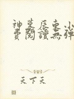 神墓辰东小说免费阅读无弹窗