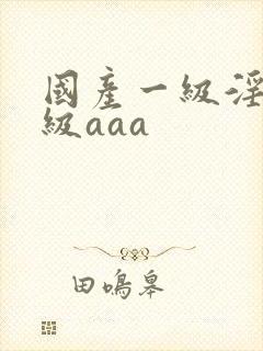 国产一级淫片a级aaa