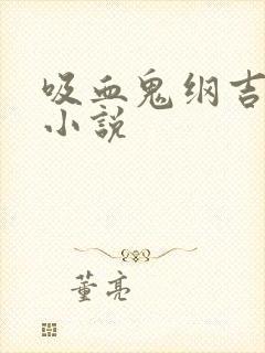 吸血鬼纲吉君 小说