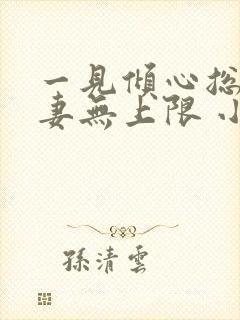 一见倾心总裁宠妻无上限 小说