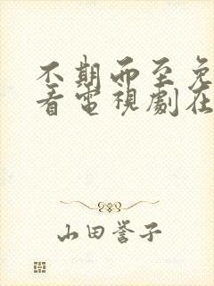 不期而至免费观看电视剧在线观看