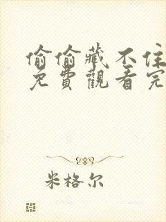 偷偷藏不住漫画免费观看完整