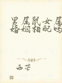 男属鼠女属兔的婚姻相配吗