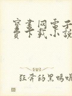 宝书网电子书免费下载小说