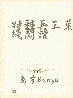 特种兵王叶枫在线阅读