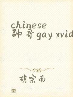 chinese帅哥gay xvideos