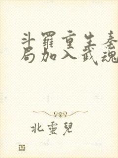 斗罗重生秦明开局加入武魂殿小说