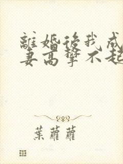 离婚后我成了前妻高攀不起的神短剧在线观看