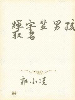 辉字辈男孩怎么取名