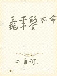 王子的本命是恶栀千金封面