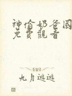 神偷奶爸国语版免费观看