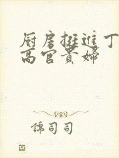 厨房挺进丁字裤高官贵妇封面