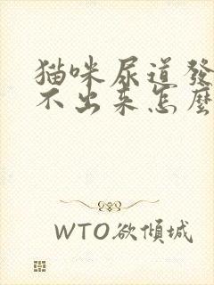 猫咪尿道发炎尿不出来怎么办