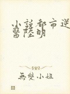 小说都市逆天邪医陆明