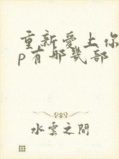 重新爱上你副cp有哪几部