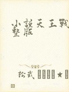 小说天王战神完整版