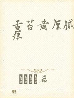 舌苔黄厚腻有齿痕