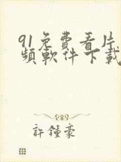 91免费看片视频软件下载