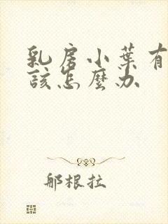 乳房小叶有增生该怎么办封面