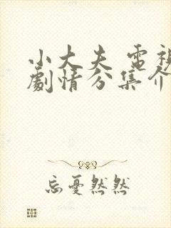 小大夫 电视剧剧情分集介绍