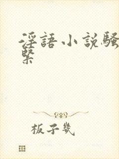 淫语小说骚货好紧