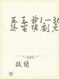 五王爷1—36集电视剧免费观看