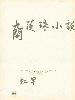 九莲珠小说笔趣阁