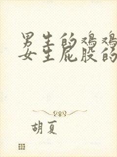 男生的鸡鸡插进女生屁股的视频封面