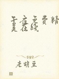 午夜免费精品欧美在线