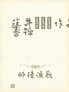 藤井リアナ作品番号封面