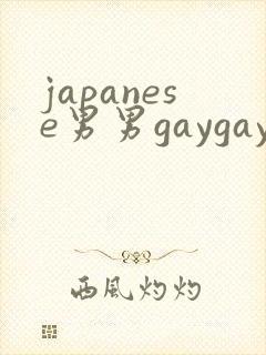 japanese男男gaygay网站