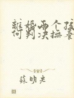 离婚两个孩子如何判决抚养权